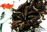 玉蘭花的藥用價(jià)值 消痰、益肺、和氣的自然之作