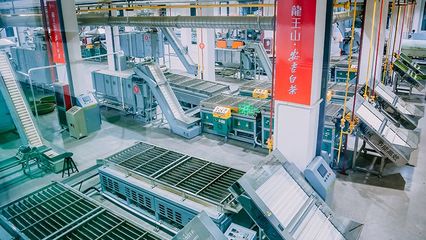 茶葉加盟 如何選擇靠譜品牌與抓住致富機會