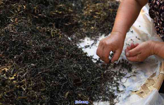 品質、來源與真假鑒別 揭秘普洱茶廠茶葉的真實性